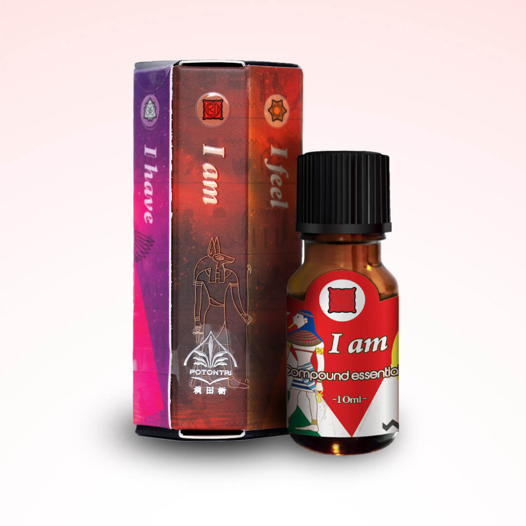 脈輪1號 海底輪