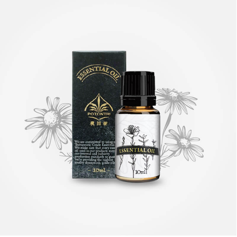 羅馬洋甘菊精油