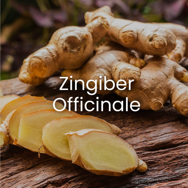 薑精油